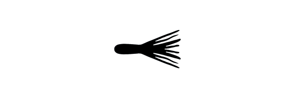 Micro Baits