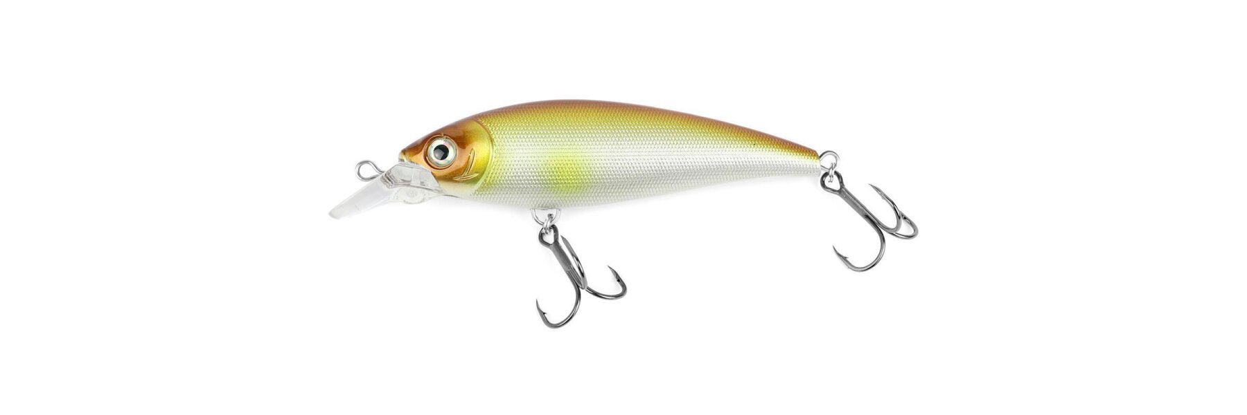 Beste Handmade Popper Für Das Hechtangeln
