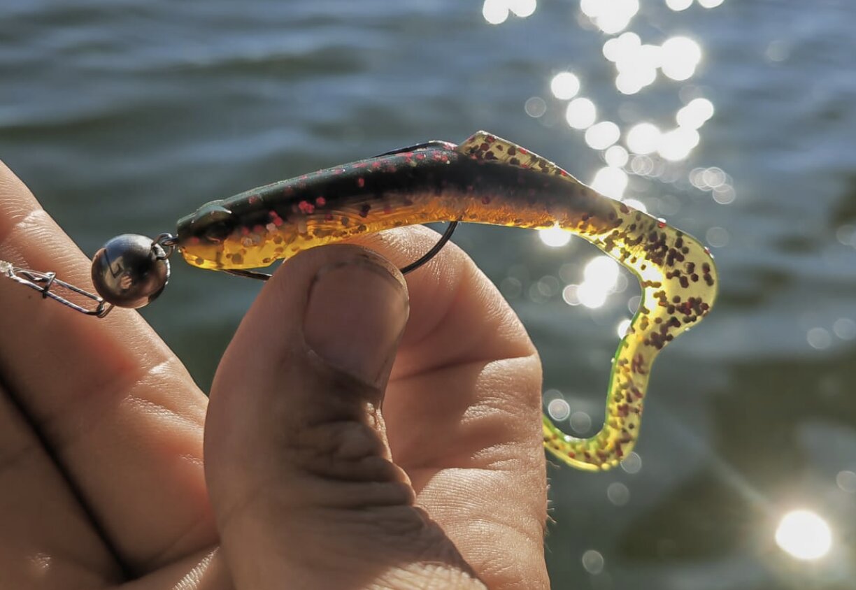 Gummiköder  jetzt entdecken - Major Fish