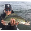 K.P Baits Skeleton Shad Gummifisch 3" 7,5cm 052 Red Crab