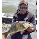 K.P Baits Skeleton Shad Gummifisch 3" 7,5cm 052 Red Crab