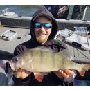 K.P Baits Skeleton Shad Gummifisch 3" 7,5cm 052 Red Crab