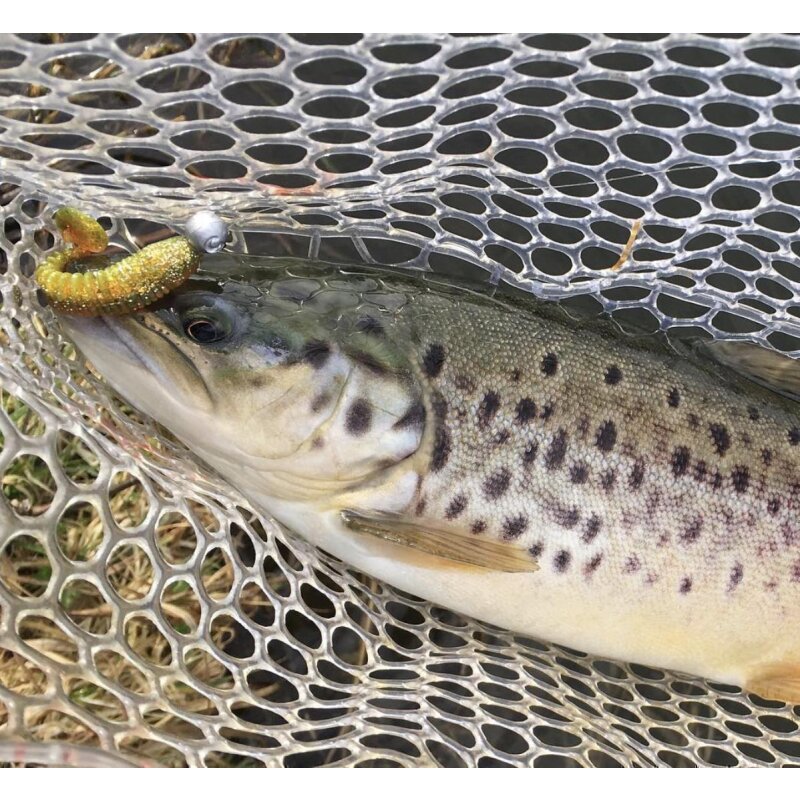 K.P Baits Skeleton Shad Gummifisch 3" 7,5cm 052 Red Crab