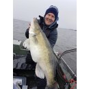 K.P Baits Skeleton Shad Gummifisch 3" 7,5cm 042 Lake Trout