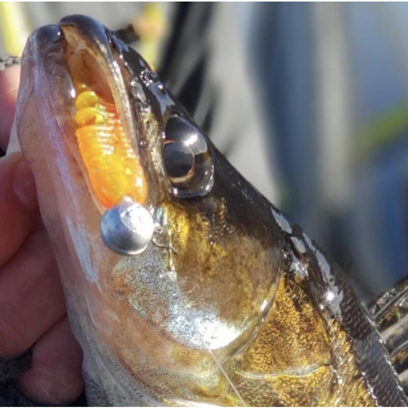 K.P Baits Skeleton Shad Gummifisch 3" 7,5cm 202 Pale Bastard
