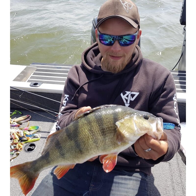 K.P Baits Skeleton Shad Gummifisch 3" 7,5cm 202 Pale Bastard