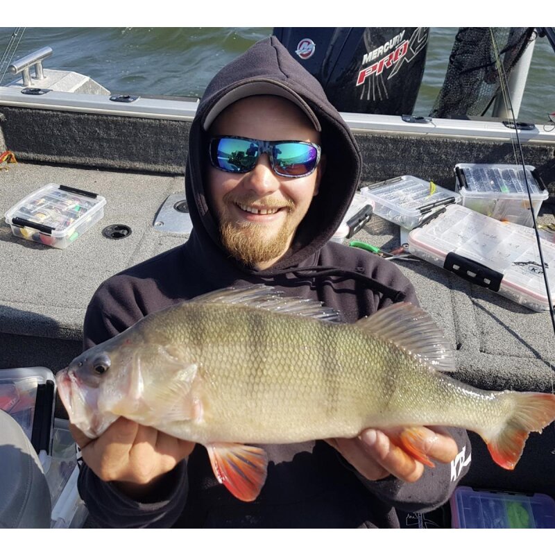 K.P Baits Skeleton Shad Gummifisch 3" 7,5cm 202 Pale Bastard