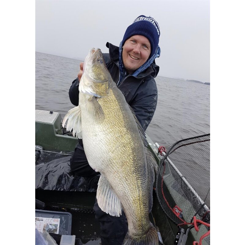 K.P Baits Skeleton Shad Gummifisch 3" 7,5cm 202 Pale Bastard