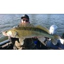 K.P Baits XO Minnow 6,5" Vertikal No Action Shad 074