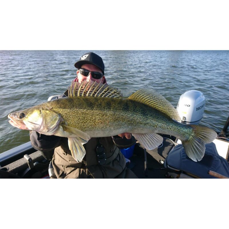 K.P Baits XO Minnow 6,5" Vertikal No Action Shad 063