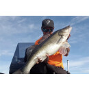 K.P Baits Skeleton Shad Gummifisch 3" 7,5cm 135 Pink Pearl