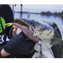 K.P Baits XO Minnow 5,5" V Tail No Action 5 Stück 060 Pearl Transparent