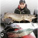 K.P Baits XO Minnow 5,5" V Tail No Action 5 Stück 063 Pearl Ghost