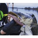 K.P Baits XO Minnow 6,5" 5 Stück 153 Lime Brown