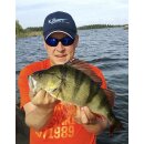 K.P Baits Lazy Shad Gummifisch 4" 10 cm 5 Stück 114 Lila Pearl