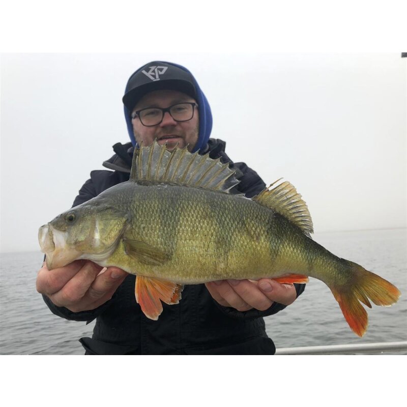 K.P Baits Original Shad 2" Gummiköder 5 cm 5 Stück 021 Schwarz Silber