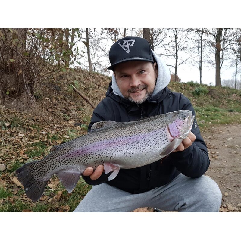 K.P Baits Original Shad 2" Gummiköder 5 cm 5 Stück 045 Rot Pearl
