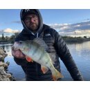 K.P Baits Original Shad 2" Gummiköder 5 cm 5 Stück 054 Motoroil Grün