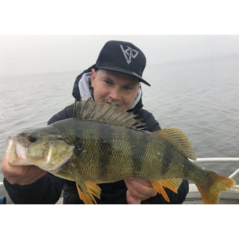 K.P Baits Original Shad 2" Gummiköder 5 cm 5 Stück 054 Motoroil Grün