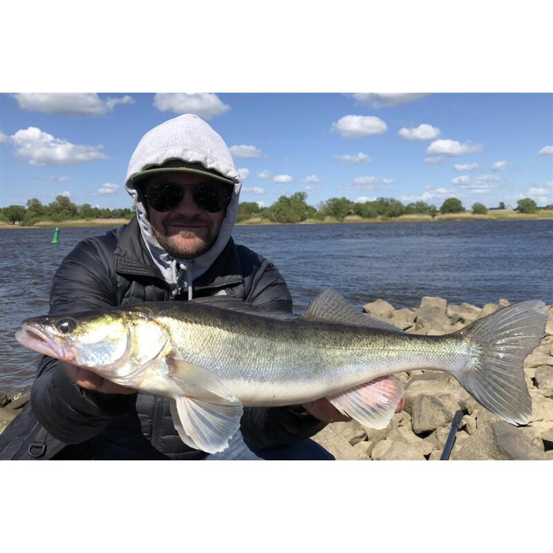 K.P Baits Original Shad 2" Gummiköder 5 cm 5 Stück 132 Motoroil