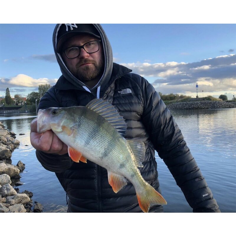 K.P Baits Original Shad 2" Gummiköder 5 cm 5 Stück 132 Motoroil