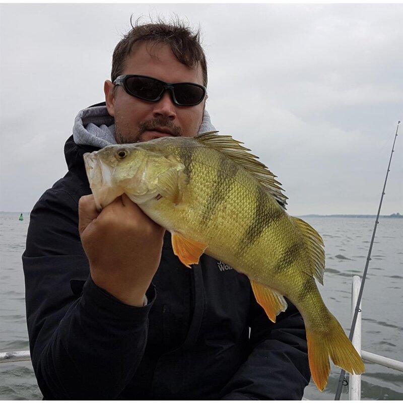 K.P Baits Original Shad 2" Gummiköder 5 cm 5 Stück 132 Motoroil