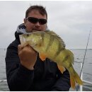 K.P Baits Original Shad 2" Gummiköder 5 cm 5 Stück 138 Pink Glitter