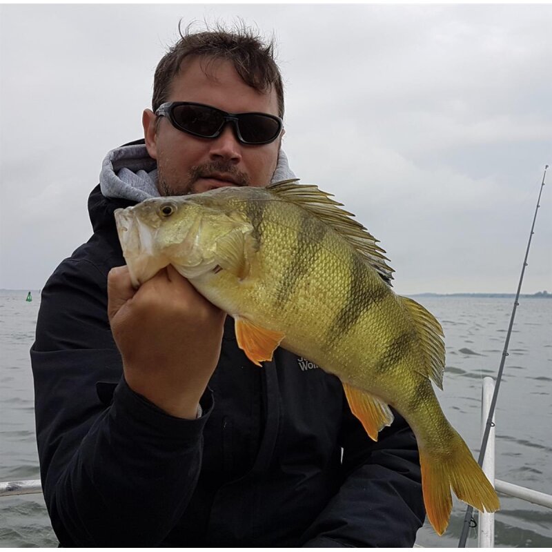 K.P Baits Original Shad 2" Gummiköder 5 cm 5 Stück 138 Pink Glitter