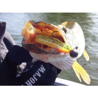 Major Fish Fransenmann Fransenköder Gummifisch 15 cm 5 Stück Black Orange
