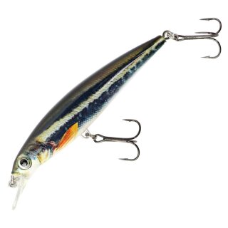 Major Fish Zander Wobbler Flachläufer 10 cm Black White Stripper