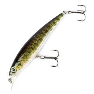 Major Fish Zander Wobbler Flachläufer 10 cm Winter Äsche