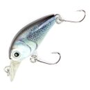 Major Fish Forellen Barsch Wobbler Crankbait 38 mm...