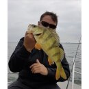 K.P Baits Lazy Shad Gummifisch 3" 7,5 cm 5 Stück 030 Schwarz Silber