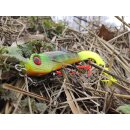 Major Fish Pike Rig Hecht Softbait System Stinger