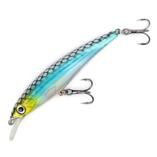 Major Fish Zander Wobbler Flachläufer 10 cm Metallic Blau