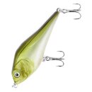 Major Fish Medium Jerk Jerkbait 10 cm Hecht Wobbler Ayu...