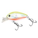 Major Fish Forellen Barsch Wobbler Lil Bill Crankbait 38...