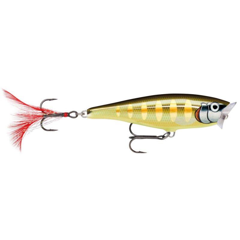 5 cm STGS - Striped Grey Shiner