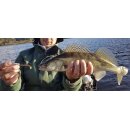Major Fish Connector Micro Jigköpfe Mini Jighead 50 Stück 5 Gramm / 2