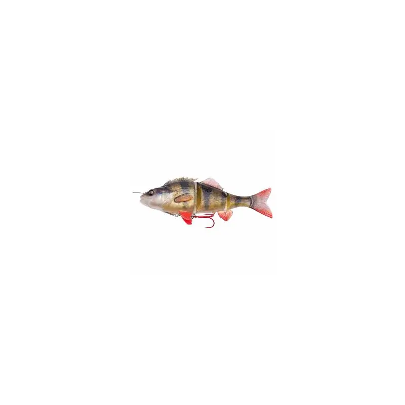 23 cm - Perch