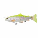 Savage Gear 4D Line Thru Trout 25 cm MS 193 Gramm