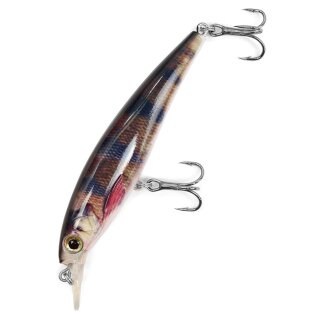 Major Fish Zander Wobbler Flachläufer 10 cm Real Perch