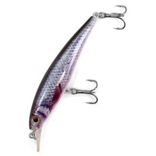 Major Fish Zander Wobbler Flachläufer 10 cm Real Roach