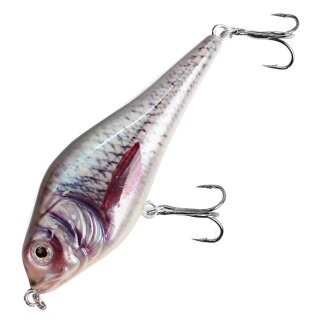 Major Fish Medium Jerk Jerkbait 10 cm Hecht Wobbler Real Roach