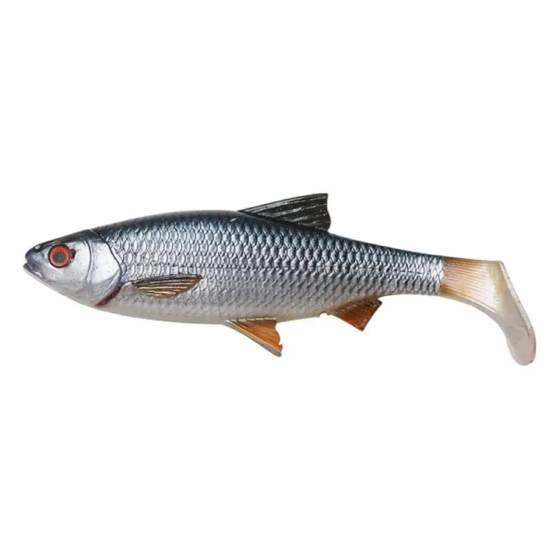 18 cm - Roach