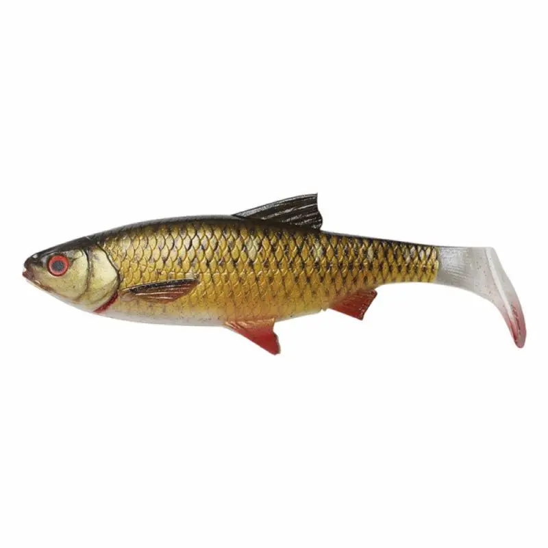 18 cm - Dirty Roach