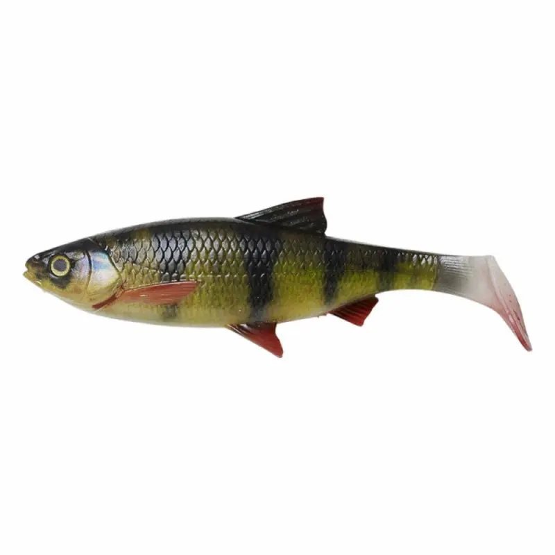 18 cm - Perch