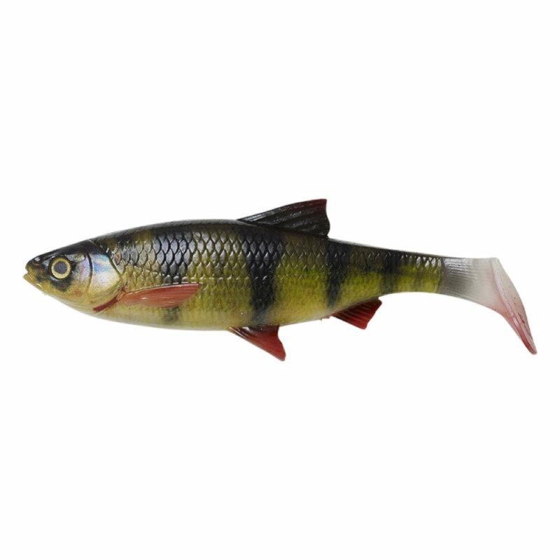 22 cm - Perch