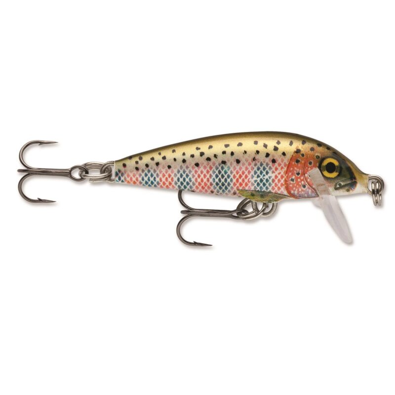 RT Rainbow Trout