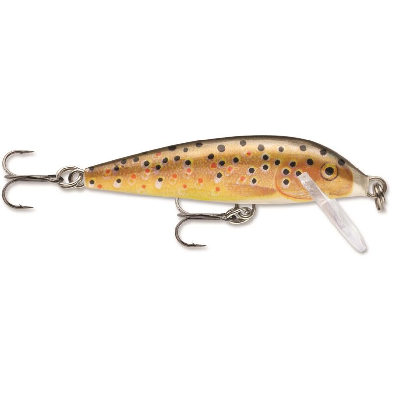 TR Brown Trout